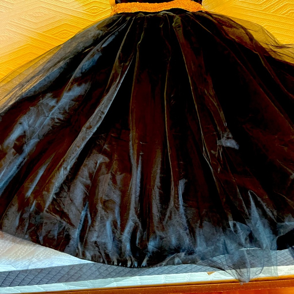 Black satin,net,and gold sequin sash.  side zipper& elastic in back at the top